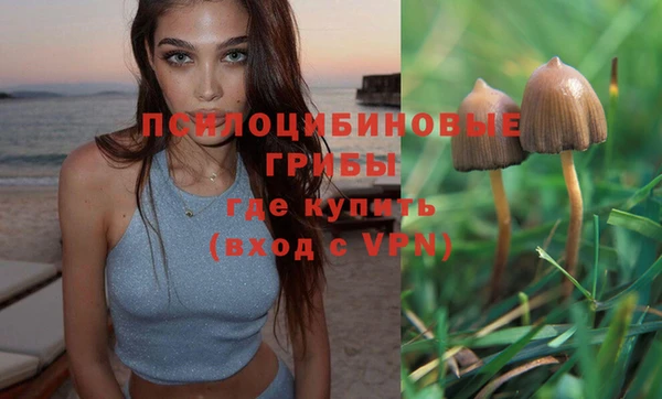 спайс Инсар
