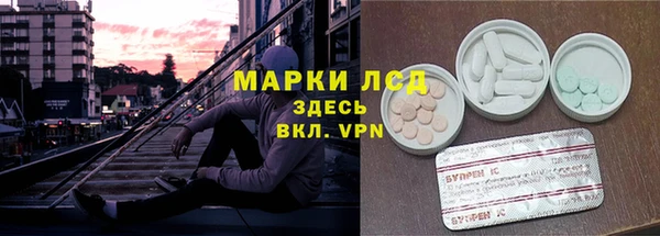 альфа пвп Инта