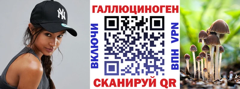 Псилоцибиновые грибы мицелий Стрежевой